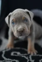 processed/43c4599b-91a0-4dac-8a14-d1f228e7dca1/listing/6da10b74-e80a-486e-88ea-e956a695270b/eed46cb3-762d-4be5-808e-f2fea78f06d0