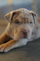 processed/43c4599b-91a0-4dac-8a14-d1f228e7dca1/listing/92d57cfc-0c1e-42f3-9d50-70ece7d6f154/5cd3c826-18b8-43f8-8a6b-628d549fad7b