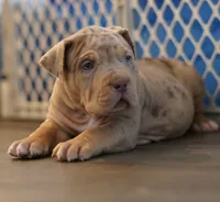 processed/43c4599b-91a0-4dac-8a14-d1f228e7dca1/listing/92d57cfc-0c1e-42f3-9d50-70ece7d6f154/f4233e4d-65df-4566-8ce5-e9df11a89577