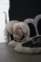 processed/43c4599b-91a0-4dac-8a14-d1f228e7dca1/listing/c4626759-0a09-447f-86f7-85915427a2ea/da2100ca-9c34-4cc4-afba-ac04cb52a5e5