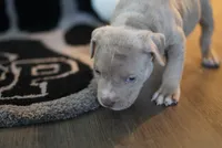 processed/43c4599b-91a0-4dac-8a14-d1f228e7dca1/listing/e70e6b2a-af58-4288-b7e3-132cbf2d2597/00c27e78-1e1c-4815-bdd4-a1fcd478d04d