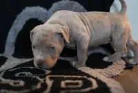 processed/43c4599b-91a0-4dac-8a14-d1f228e7dca1/listing/e70e6b2a-af58-4288-b7e3-132cbf2d2597/34666fe3-25a6-44c4-98a5-79c48f1c06fd