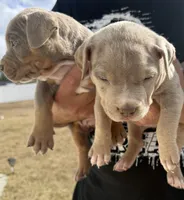 processed/43c4599b-91a0-4dac-8a14-d1f228e7dca1/listing/e70e6b2a-af58-4288-b7e3-132cbf2d2597/683921fe-51f3-4599-8ef1-c092dbba3e8e