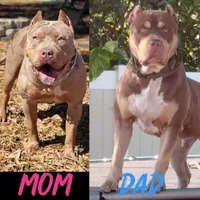 processed/43c4599b-91a0-4dac-8a14-d1f228e7dca1/listing/e70e6b2a-af58-4288-b7e3-132cbf2d2597/f4203542-71cb-4cd2-979f-cf090705d126