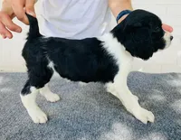 processed/43c77635-007f-4534-a6d7-a37242f5a1b3/listing/01bd3920-618f-4123-90d0-d031dd20dcd1/01244ab5-c94d-4b8e-a781-26f10449cfa2