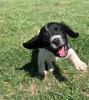 processed/43c77635-007f-4534-a6d7-a37242f5a1b3/listing/01bd3920-618f-4123-90d0-d031dd20dcd1/6e15b9e6-30c2-43c8-bf49-9bf212fcb2c6