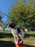 processed/43c77635-007f-4534-a6d7-a37242f5a1b3/listing/01bd3920-618f-4123-90d0-d031dd20dcd1/84e27447-bdd6-40df-86e3-3521dd1567c6