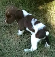 processed/43c77635-007f-4534-a6d7-a37242f5a1b3/listing/01bd3920-618f-4123-90d0-d031dd20dcd1/baf7ca63-fb9f-4abe-a16e-938629e3a59d