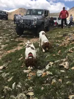 processed/43c77635-007f-4534-a6d7-a37242f5a1b3/listing/1b416f4f-2a6b-46b6-a7ce-332fd7086b51/1674a965-9a50-42d5-a7d1-b8987ad10963