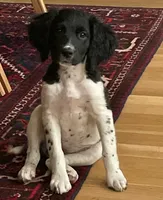 processed/43c77635-007f-4534-a6d7-a37242f5a1b3/listing/1b416f4f-2a6b-46b6-a7ce-332fd7086b51/26bd8f8c-d20a-45b6-85d2-f3b63843cc6c