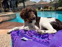 processed/43c77635-007f-4534-a6d7-a37242f5a1b3/listing/1b416f4f-2a6b-46b6-a7ce-332fd7086b51/7a4e3b11-3924-4ac6-a0a4-f03418cd567f