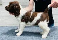 processed/43c77635-007f-4534-a6d7-a37242f5a1b3/listing/1b416f4f-2a6b-46b6-a7ce-332fd7086b51/89a4b0d3-9330-42a5-82b0-53ee87ce3d19