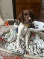 processed/43c77635-007f-4534-a6d7-a37242f5a1b3/listing/1b416f4f-2a6b-46b6-a7ce-332fd7086b51/b2c166fc-ee65-4903-a153-01196d860b70