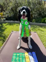 processed/43c77635-007f-4534-a6d7-a37242f5a1b3/listing/1b416f4f-2a6b-46b6-a7ce-332fd7086b51/b7490be2-092b-4c40-a8f6-8ee34bfbe343