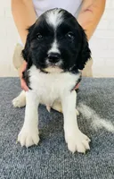 processed/43c77635-007f-4534-a6d7-a37242f5a1b3/listing/55daeb82-1bf1-454c-9920-2c8ee90c381f/2096d78c-e5e6-4d3c-8ef1-ae62b5d86fce