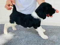 processed/43c77635-007f-4534-a6d7-a37242f5a1b3/listing/55daeb82-1bf1-454c-9920-2c8ee90c381f/22595465-47ca-44a1-8c20-8b3ffd52a0a6