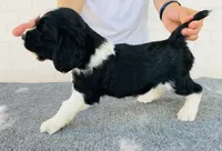 processed/43c77635-007f-4534-a6d7-a37242f5a1b3/listing/55daeb82-1bf1-454c-9920-2c8ee90c381f/4df391b1-198b-48e4-9fac-f01c442a4f17