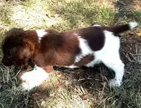 processed/43c77635-007f-4534-a6d7-a37242f5a1b3/listing/55daeb82-1bf1-454c-9920-2c8ee90c381f/5f048860-5fe2-48e1-b270-1111577b8eaa