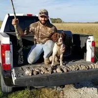Maxwell AKC NOT$100 AUSTIN, a male English Springer Spaniel for sale in Dallas, TX – Photo 4 of 8