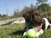 processed/43c77635-007f-4534-a6d7-a37242f5a1b3/listing/8a106a3c-08dc-42b2-9913-0914a2b48655/2f6c107a-0687-426b-9287-8dd8983c8277