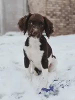 processed/43c77635-007f-4534-a6d7-a37242f5a1b3/listing/8a106a3c-08dc-42b2-9913-0914a2b48655/73148433-e01e-476c-8b8a-9dcb22218430