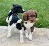 processed/43c77635-007f-4534-a6d7-a37242f5a1b3/listing/8a106a3c-08dc-42b2-9913-0914a2b48655/bf35350c-506b-4b4a-a130-594a8fd0b1e0