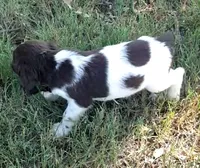 processed/43c77635-007f-4534-a6d7-a37242f5a1b3/listing/8a106a3c-08dc-42b2-9913-0914a2b48655/e7fc62b7-b865-4ffe-bd45-90e565d0f4c0