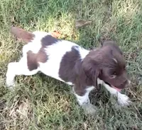 processed/43c77635-007f-4534-a6d7-a37242f5a1b3/listing/8a106a3c-08dc-42b2-9913-0914a2b48655/ff778206-66b4-4835-8220-5e74902a151e