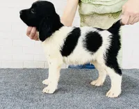 processed/43c77635-007f-4534-a6d7-a37242f5a1b3/listing/8f712d20-1929-44a6-a55c-d9811bb60126/62dadf23-e4ef-4937-8bc0-1fde35b59a0d