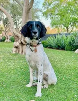 processed/43c77635-007f-4534-a6d7-a37242f5a1b3/listing/8f712d20-1929-44a6-a55c-d9811bb60126/7c816869-171a-4a2a-b3ae-385078dcfed0