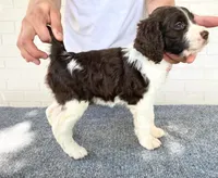 processed/43c77635-007f-4534-a6d7-a37242f5a1b3/listing/8f712d20-1929-44a6-a55c-d9811bb60126/998101a9-a8f6-4986-a13a-ffeed6321592