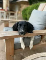 processed/43c77635-007f-4534-a6d7-a37242f5a1b3/listing/8f712d20-1929-44a6-a55c-d9811bb60126/ce8985ab-2f6c-4f7a-9c4d-673f2f277dd0