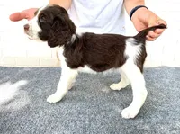 processed/43c77635-007f-4534-a6d7-a37242f5a1b3/listing/ad06a1ff-028e-4d07-91e3-b330915c9048/579d25df-21ef-42b7-9d7a-6704e97ea3fd