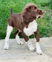 processed/43c77635-007f-4534-a6d7-a37242f5a1b3/listing/ad06a1ff-028e-4d07-91e3-b330915c9048/90172b21-aae4-4780-8a03-586e576c6e04