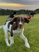 processed/43c77635-007f-4534-a6d7-a37242f5a1b3/listing/ad06a1ff-028e-4d07-91e3-b330915c9048/db0ea5b0-1c59-4bbd-b449-e6e7d6406a89