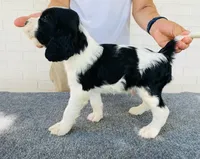 processed/43c77635-007f-4534-a6d7-a37242f5a1b3/listing/b9efa6bc-c421-46ea-b018-763b79b6296c/41a6fd5e-aea5-4165-81c4-a0a8b1e598f7