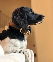 processed/43c77635-007f-4534-a6d7-a37242f5a1b3/listing/b9efa6bc-c421-46ea-b018-763b79b6296c/475a9a02-f40b-4582-af2a-43b5aedfdc1a