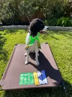 processed/43c77635-007f-4534-a6d7-a37242f5a1b3/listing/b9efa6bc-c421-46ea-b018-763b79b6296c/54748047-2384-4288-96a9-30f6a411ad3b