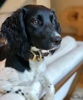 processed/43c77635-007f-4534-a6d7-a37242f5a1b3/listing/b9efa6bc-c421-46ea-b018-763b79b6296c/bb16ab18-a172-412c-af21-b4de33831358