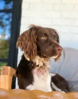 processed/43c77635-007f-4534-a6d7-a37242f5a1b3/listing/b9efa6bc-c421-46ea-b018-763b79b6296c/e54e7937-715d-4e31-bc0c-5d687e974036