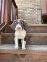 processed/43c77635-007f-4534-a6d7-a37242f5a1b3/listing/cc8e0b44-a52f-43b1-bf5d-0b0480d7aa30/18a93ef0-5b90-4c7a-901a-0cd0b0acd41e