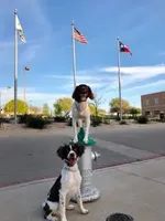 processed/43c77635-007f-4534-a6d7-a37242f5a1b3/listing/cc8e0b44-a52f-43b1-bf5d-0b0480d7aa30/1d7b68f6-9d27-4007-a95e-52f2c0ef5893