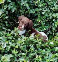 processed/43c77635-007f-4534-a6d7-a37242f5a1b3/listing/cc8e0b44-a52f-43b1-bf5d-0b0480d7aa30/24d07ed8-be52-4c99-859e-ffaf5592f96e