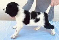 processed/43c77635-007f-4534-a6d7-a37242f5a1b3/listing/cc8e0b44-a52f-43b1-bf5d-0b0480d7aa30/2b2a375a-6a68-4fd5-a6aa-b99dd90d13b7