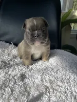 processed/43cb6a53-c776-4302-99dd-7b70c98a8c9e/listing/3f3a500a-c177-4605-bb11-c88ec2cc2c09/158465d4-b6ed-4338-b17f-89308ec4fcd9