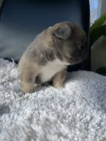 processed/43cb6a53-c776-4302-99dd-7b70c98a8c9e/listing/3f3a500a-c177-4605-bb11-c88ec2cc2c09/3b6219a7-0af4-46dc-b611-c4c64565b6e4