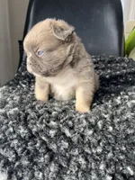 processed/43cb6a53-c776-4302-99dd-7b70c98a8c9e/listing/3f3a500a-c177-4605-bb11-c88ec2cc2c09/3f4a6ea2-f395-4dbc-9681-20a2db74fdc3