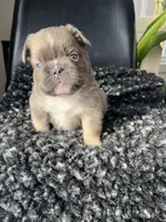 processed/43cb6a53-c776-4302-99dd-7b70c98a8c9e/listing/3f3a500a-c177-4605-bb11-c88ec2cc2c09/93f8d7cf-0e17-48f4-bae7-33955858145a