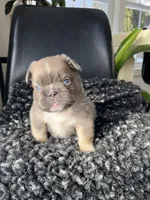 processed/43cb6a53-c776-4302-99dd-7b70c98a8c9e/listing/3f3a500a-c177-4605-bb11-c88ec2cc2c09/b1802eb9-54e3-4f03-8f99-d3b9d59c41fe