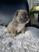 processed/43cb6a53-c776-4302-99dd-7b70c98a8c9e/listing/3f3a500a-c177-4605-bb11-c88ec2cc2c09/b2e5879b-789e-4cb2-9e9b-793340f9f594